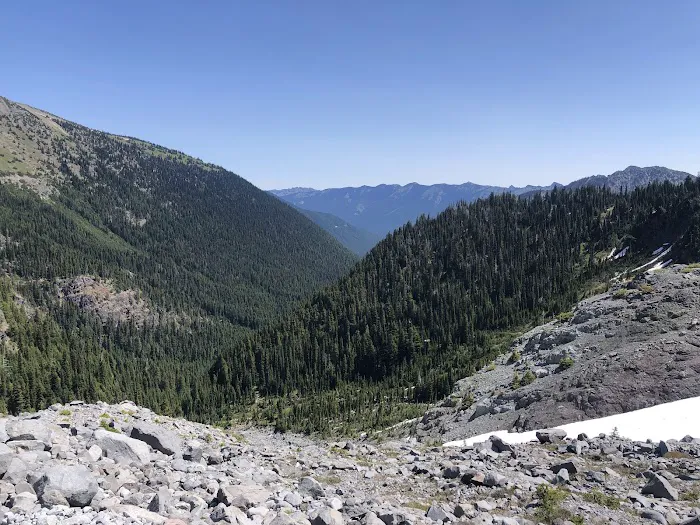 Summerland Camp Picture 4