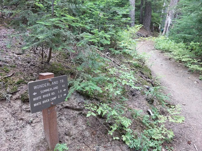 Summerland Camp Picture 10