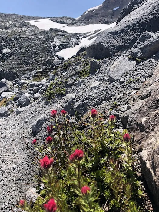 Summerland Camp Picture 9