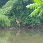 Cherry Hill Mobile Home Park