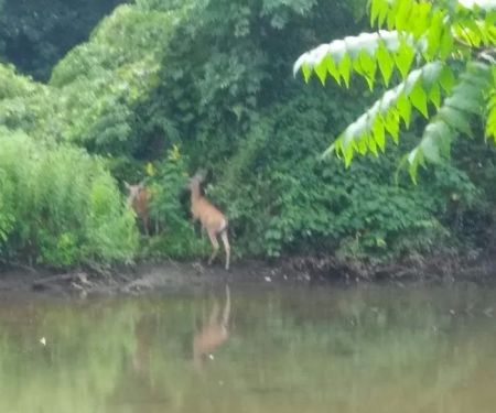 Cherry Hill Mobile Home Park