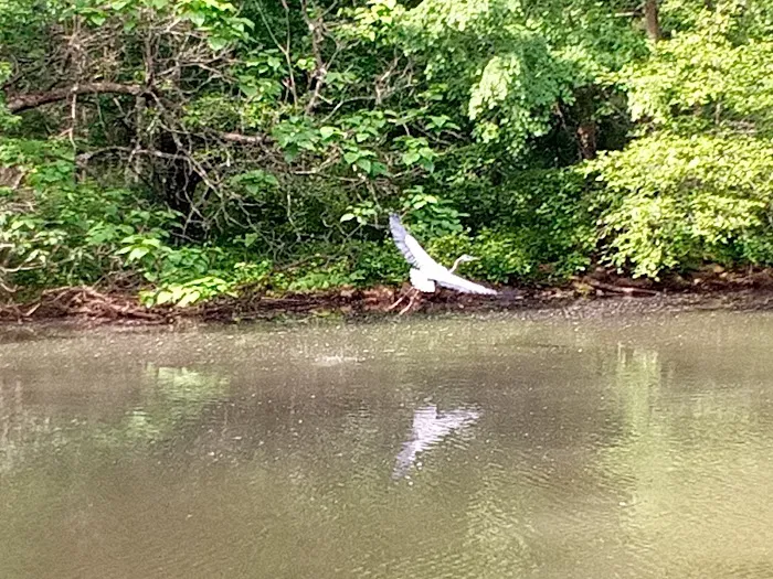 Cherry Hill Mobile Home Park Picture 7