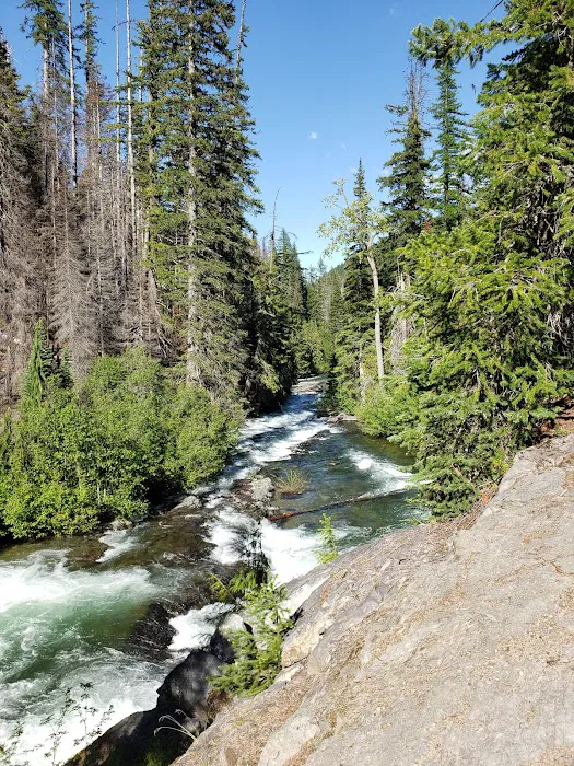 Lodgepole Campground Picture 3