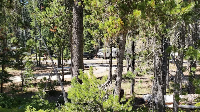 Lodgepole Campground Picture 1