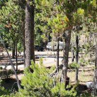Lodgepole Campground ico