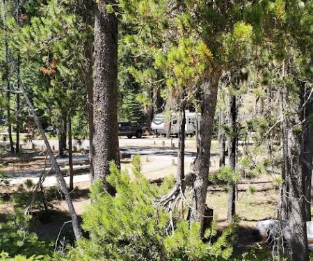Lodgepole Campground