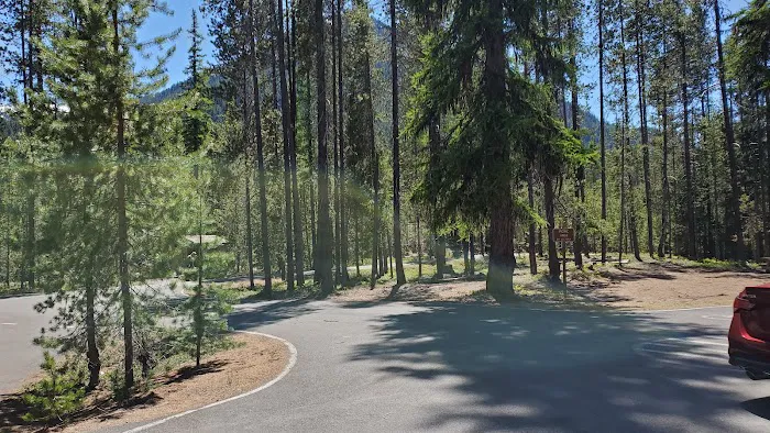 Lodgepole Campground Picture 2