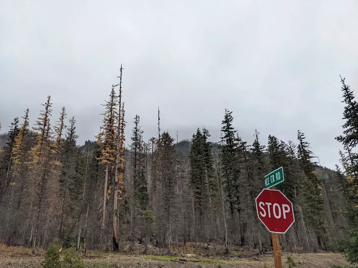 Lodgepole Campground Picture 8