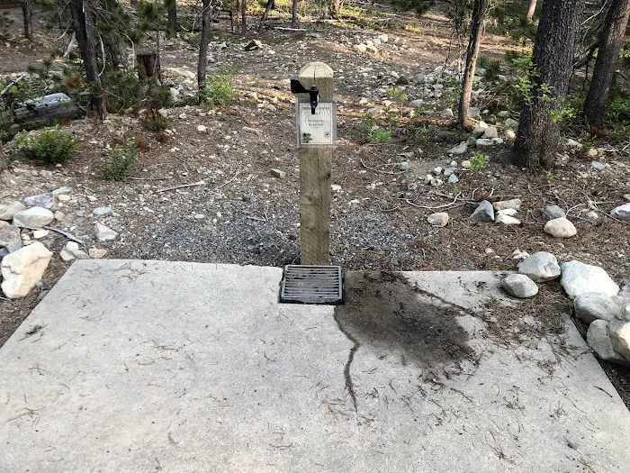 Lodgepole Campground Picture 9