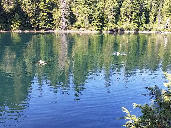 Golden Lakes Camp Picture 6