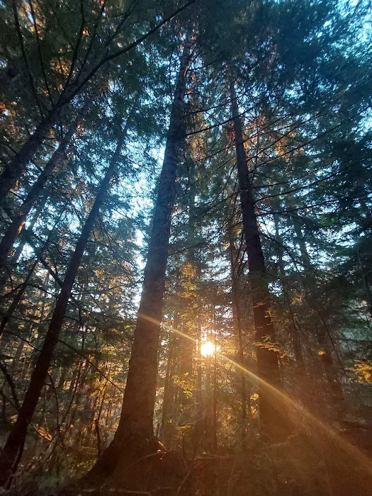 North Puyallup River Camp Picture 3