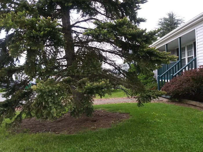 Kensington Village Picture 5