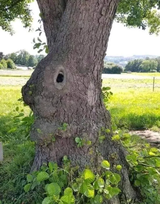 Hidden Brook Estates Picture 6