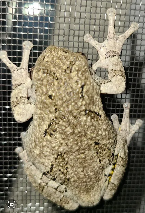 Hidden Brook Estates Picture 3