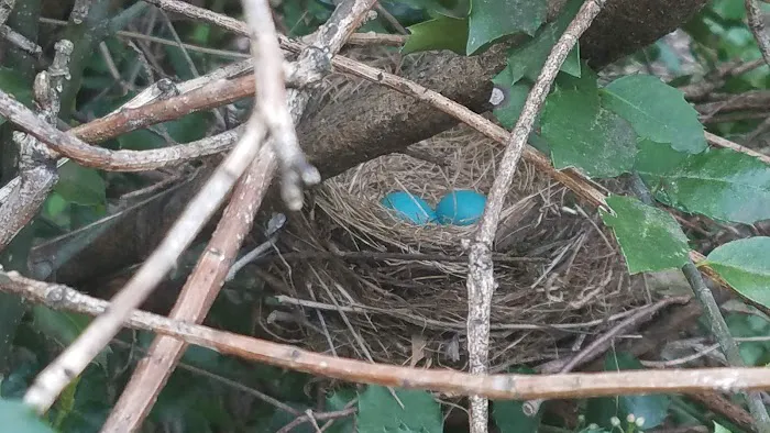 Hidden Brook Estates Picture 8