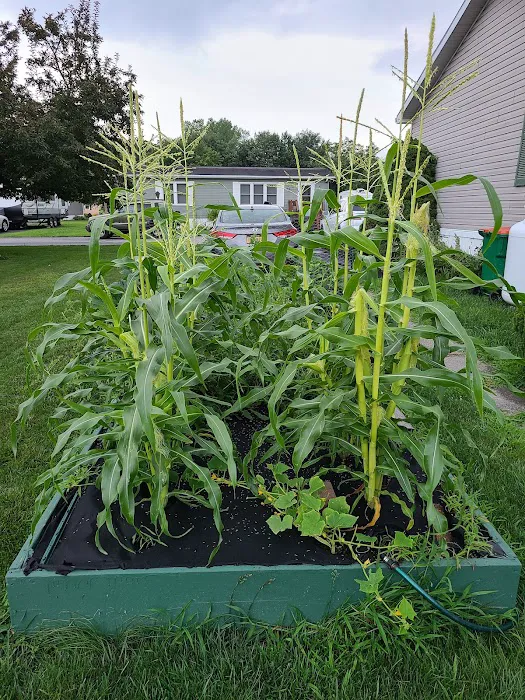 Hidden Brook Estates Picture 5