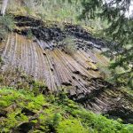 South Puyallup River Camp