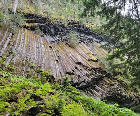 South Puyallup River Camp