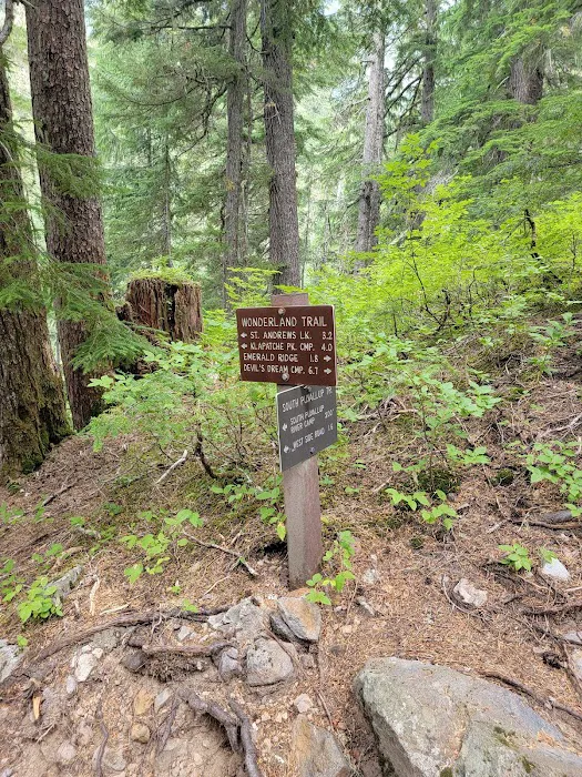 South Puyallup River Camp Picture 4