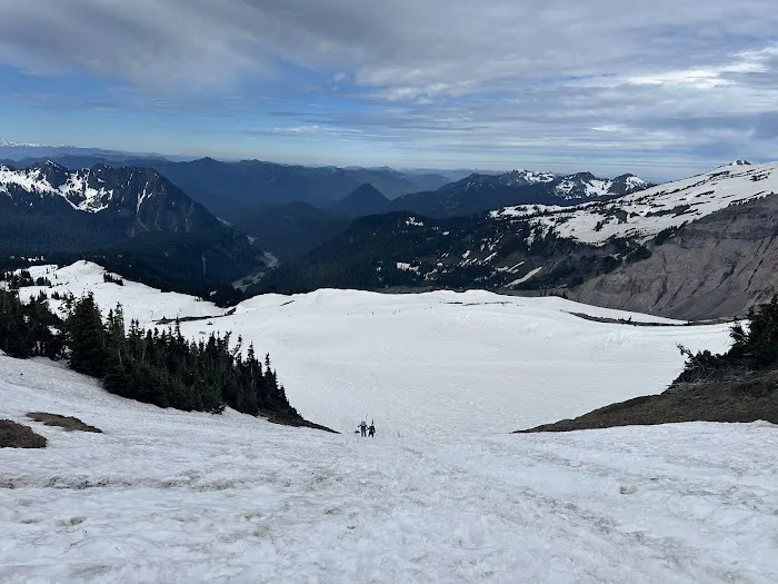 Camp Muir Picture 6