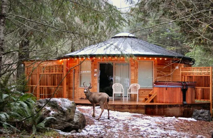 Stormking Cabins & Spa Picture 7