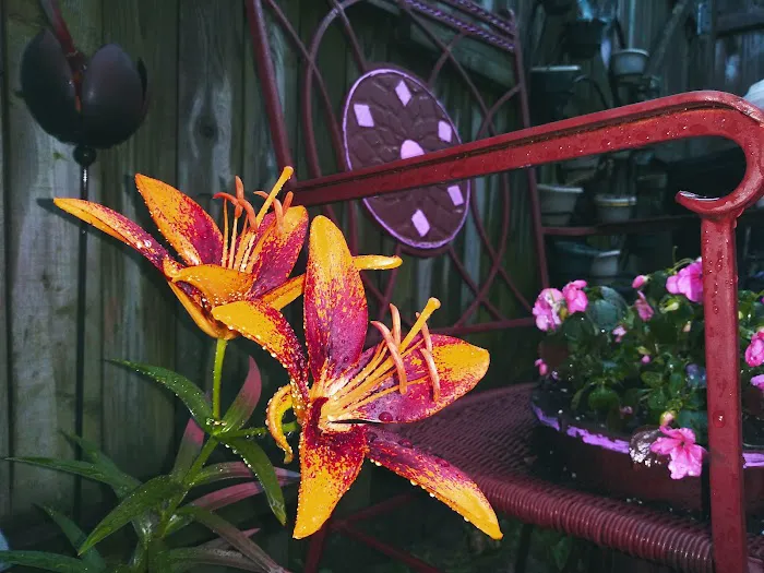 Penn Mobile Home Park Picture 7