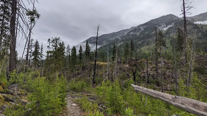 Waptus Lake Campsites Picture 4