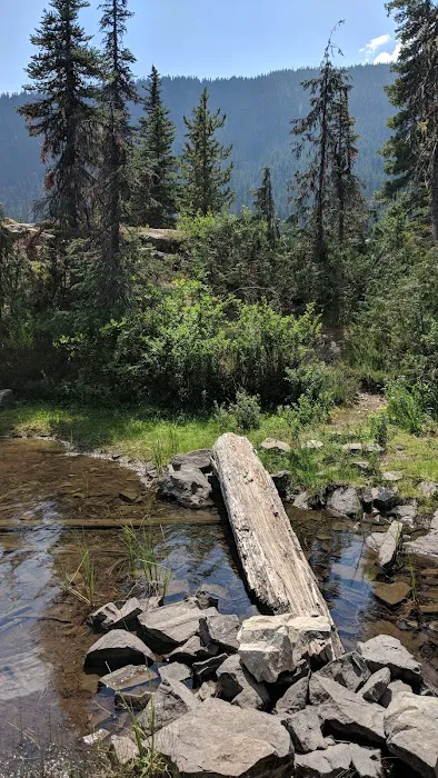 Waptus Lake Campsites Picture 7