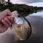 Newton Creek Mobile Home Park