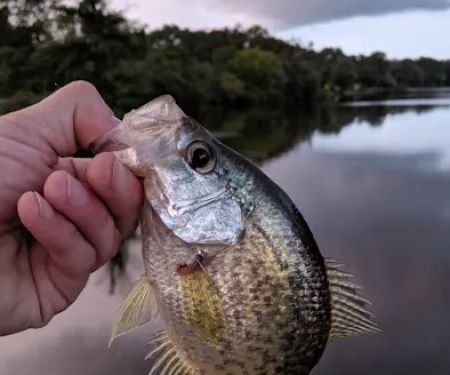 Newton Creek Mobile Home Park