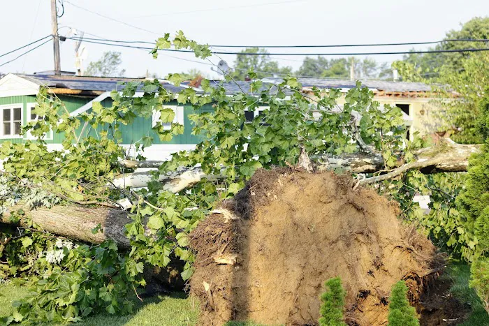 Penn Valley Terrace Picture 10