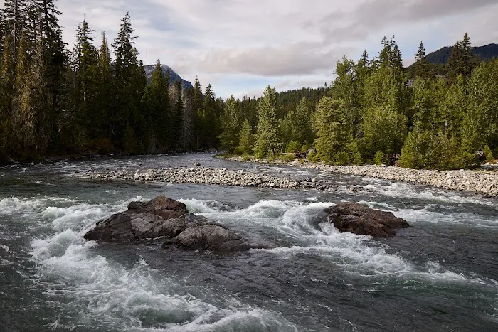 Salmon La Sac Campground Picture 3