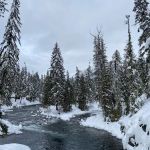 Salmon La Sac Campground