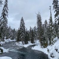 Salmon La Sac Campground ico