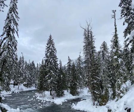 Salmon La Sac Campground