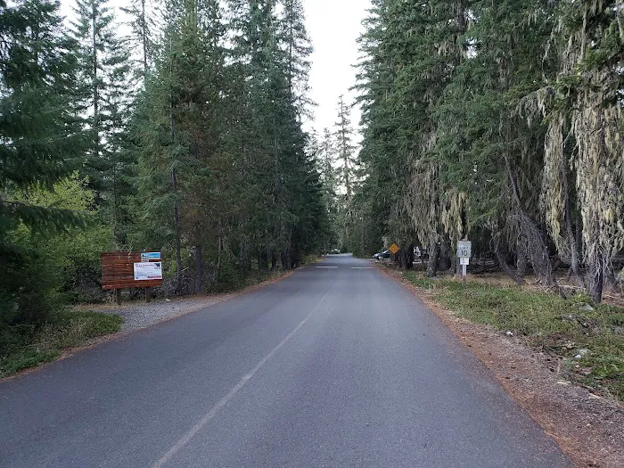 Salmon La Sac Campground Picture 8