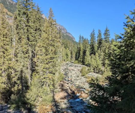 Red Mountain Campground