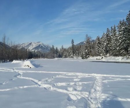 Cle Elum River Group Site