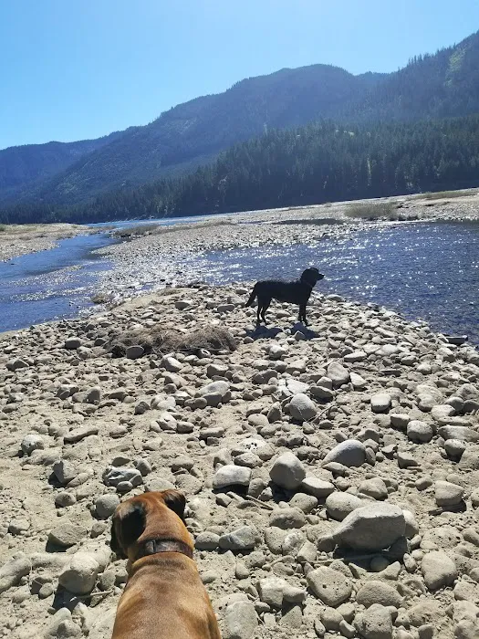 Cle Elum River Group Site Picture 4