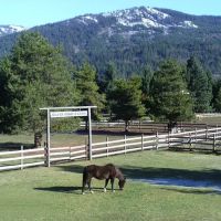 Silver Ridge Ranch Campground ico