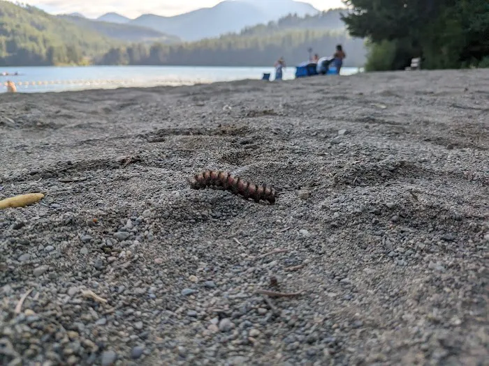 Lake Easton State Park Campground Picture 7