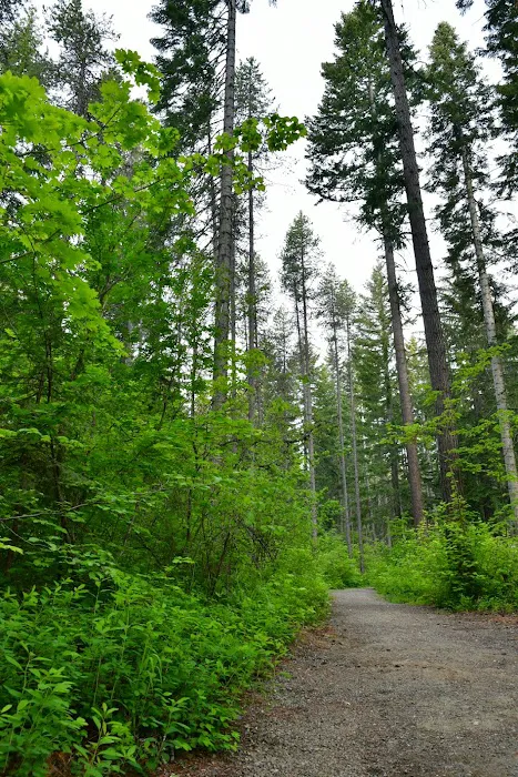 Lake Easton State Park Campground Picture 5