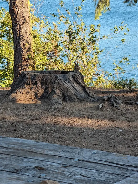 Lake Easton State Park Campground Picture 10