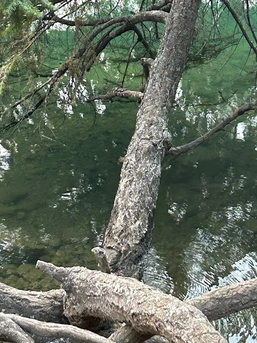 Lake Easton State Park Campground Picture 6