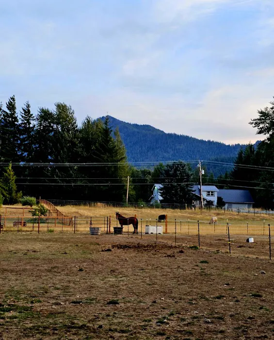 Cle Elum River Campground Picture 9
