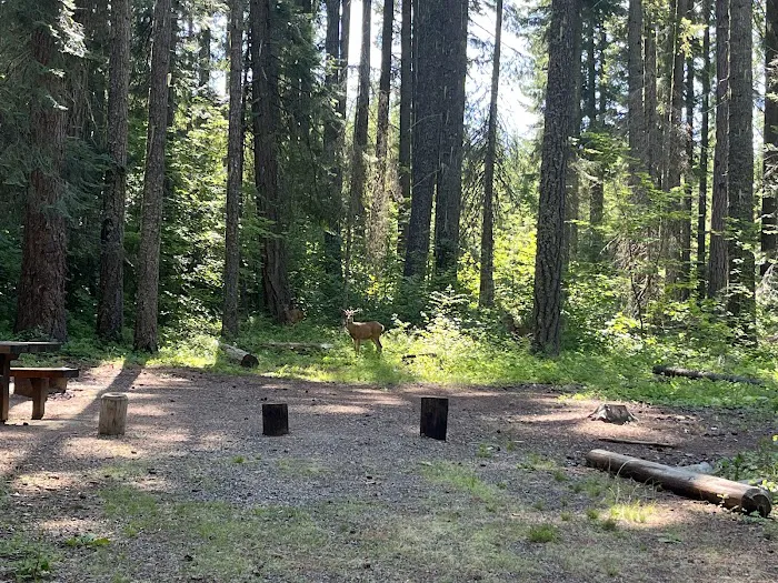 Wish Poosh Campground Picture 2