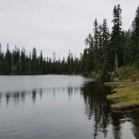 Cayuse Horse Camp ico