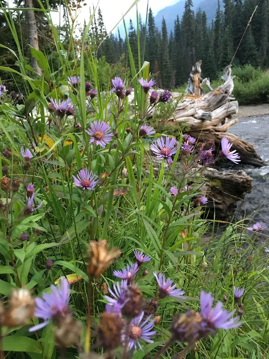 Scatter Creek Campground Picture 1