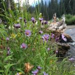 Scatter Creek Campground