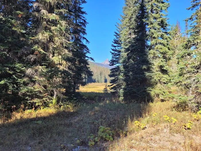 Scatter Creek Campground Picture 8